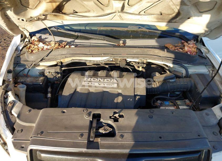 Photo 10 of 2006 Honda Pilot EX-L (VIN 2HKYF18556H559191)