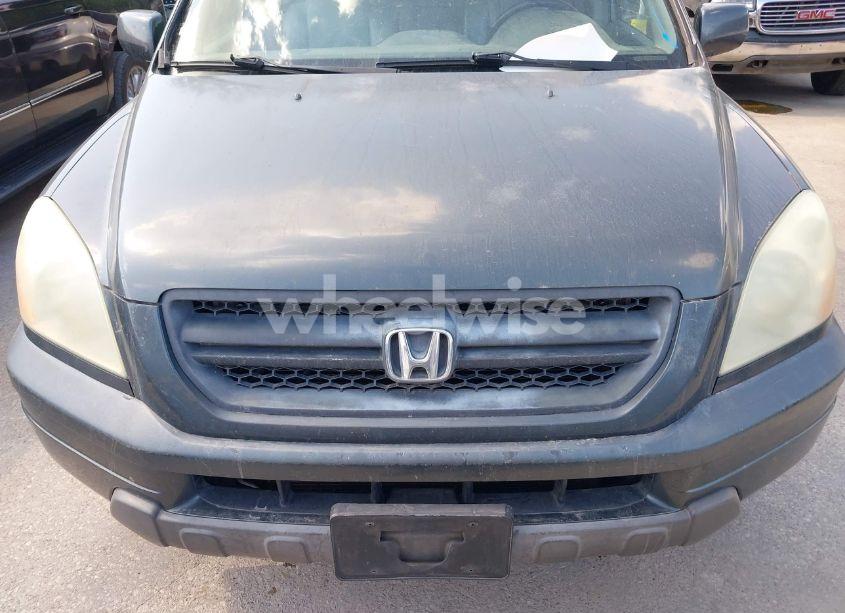 Photo 6 of 2004 Honda Pilot EX-L (VIN 2HKYF18564H505136)