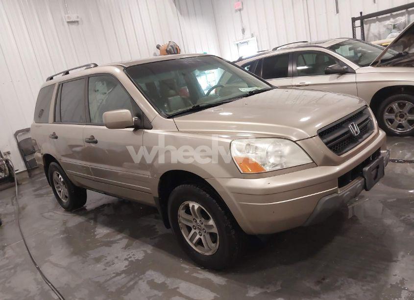 2004 Honda Pilot EX-L (VIN 2HKYF18564H595114) main photo