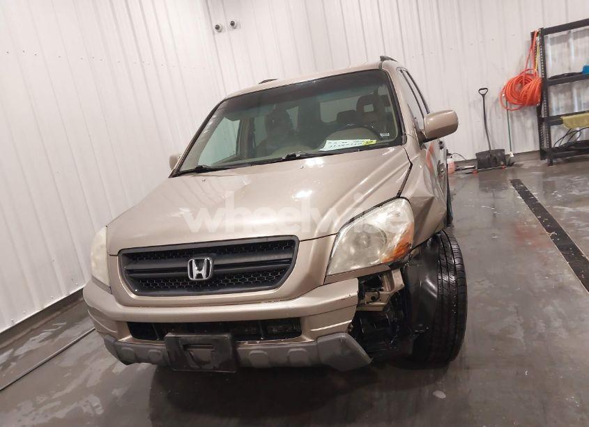 Photo 12 of 2004 Honda Pilot EX-L (VIN 2HKYF18564H595114)