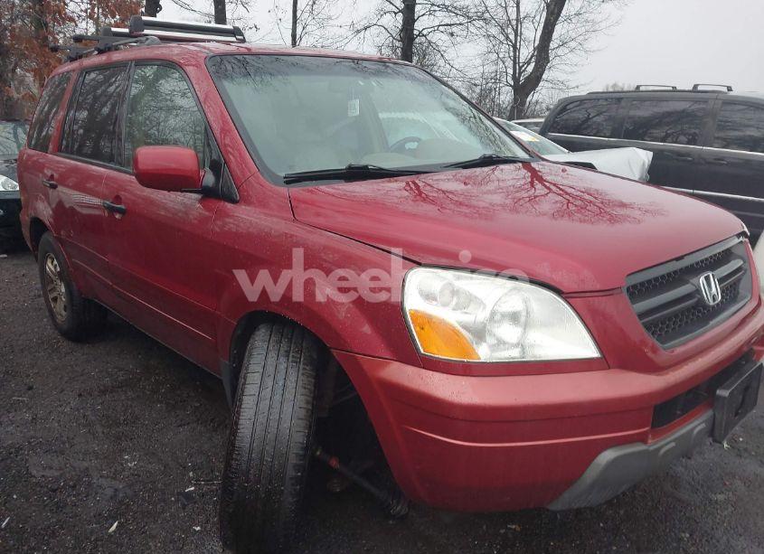 2005 Honda Pilot EX-L (VIN 2HKYF18565H573373) main photo