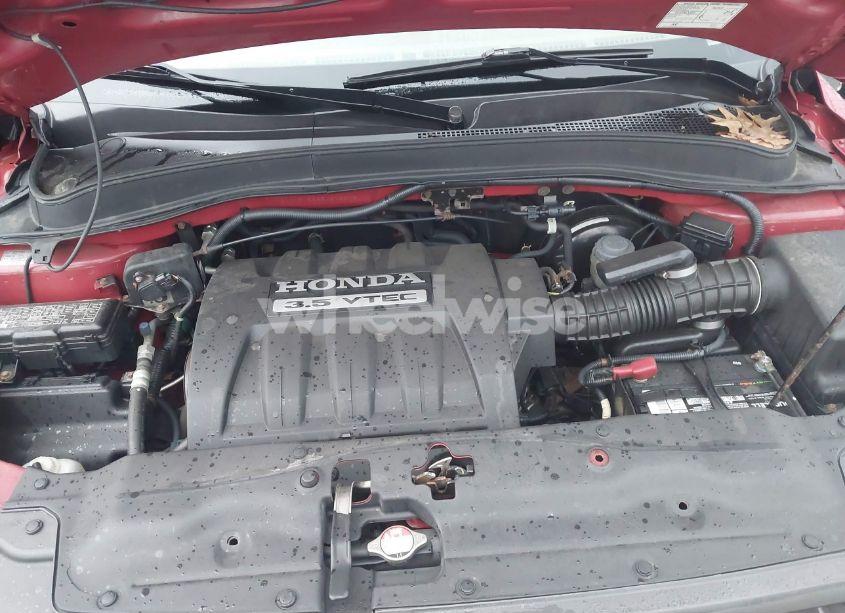 Photo 10 of 2005 Honda Pilot EX-L (VIN 2HKYF18565H573373)