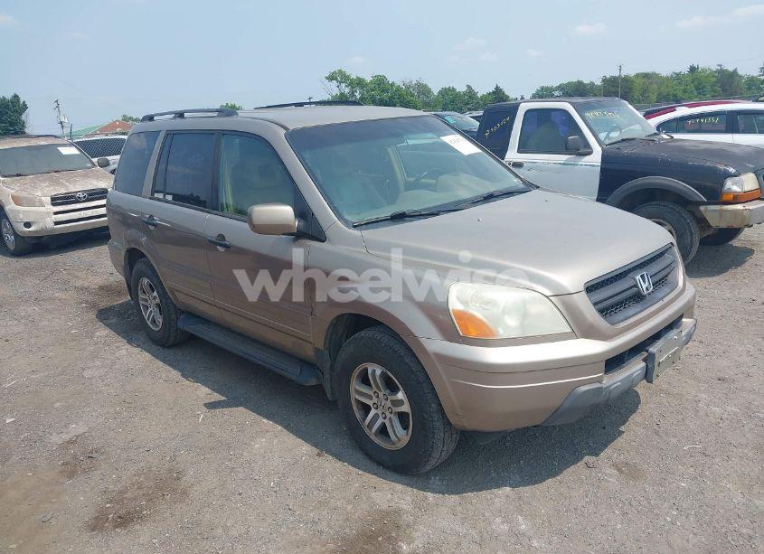 2003 Honda Pilot EX-L (VIN 2HKYF18573H616924) main photo