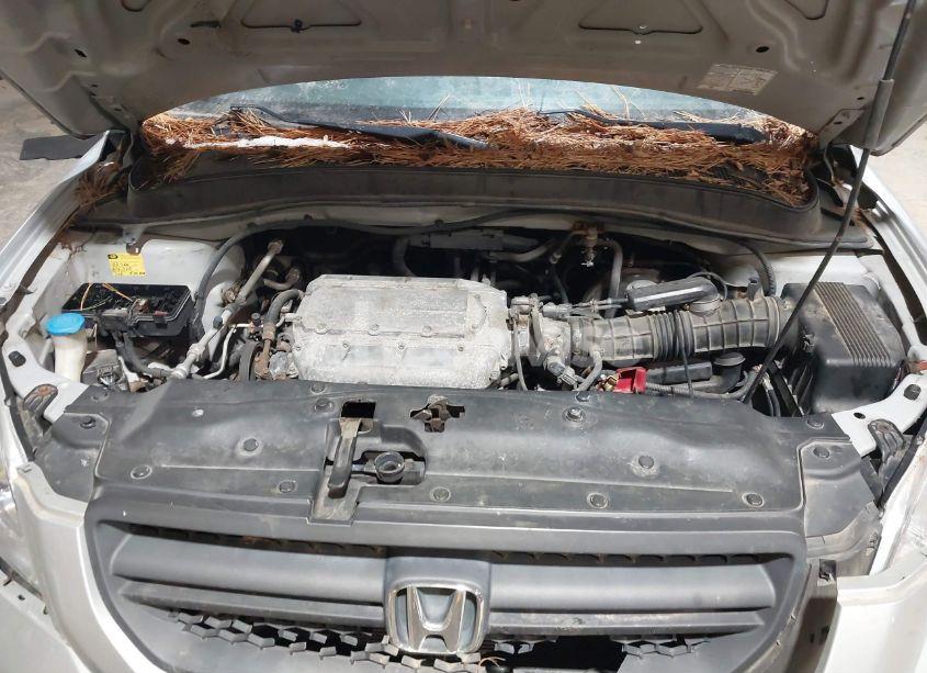 Photo 10 of 2004 Honda Pilot EX-L (VIN 2HKYF18574H521281)