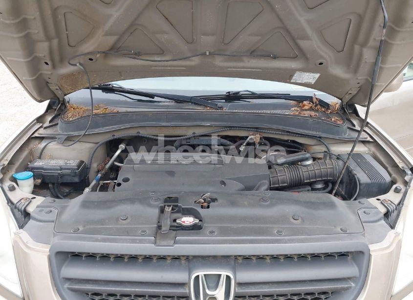 Photo 10 of 2004 Honda Pilot EX-L (VIN 2HKYF18574H602152)