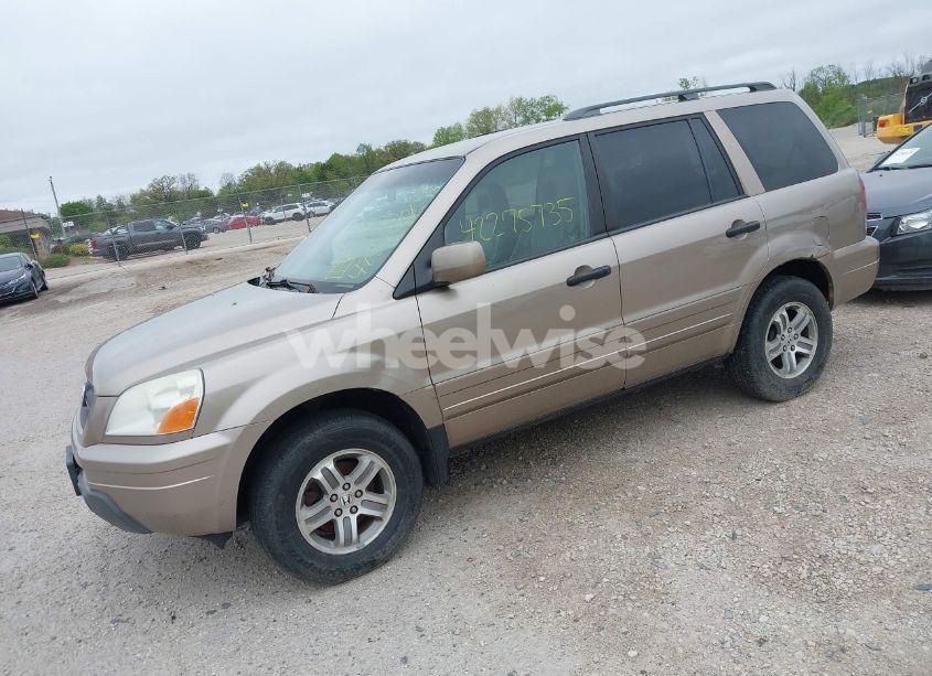 Photo 2 of 2004 Honda Pilot EX-L (VIN 2HKYF18574H602152)