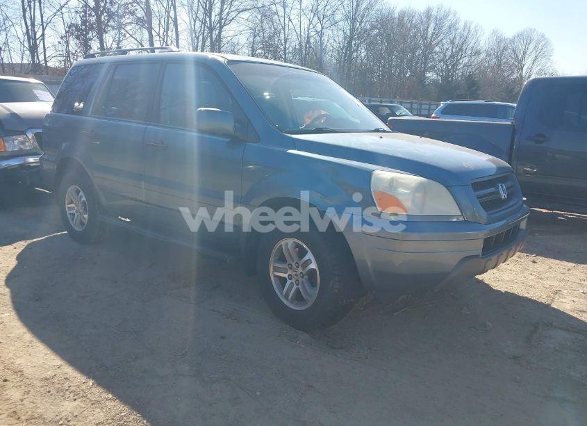 2005 Honda Pilot EX-L (VIN 2HKYF18575H505891) main photo