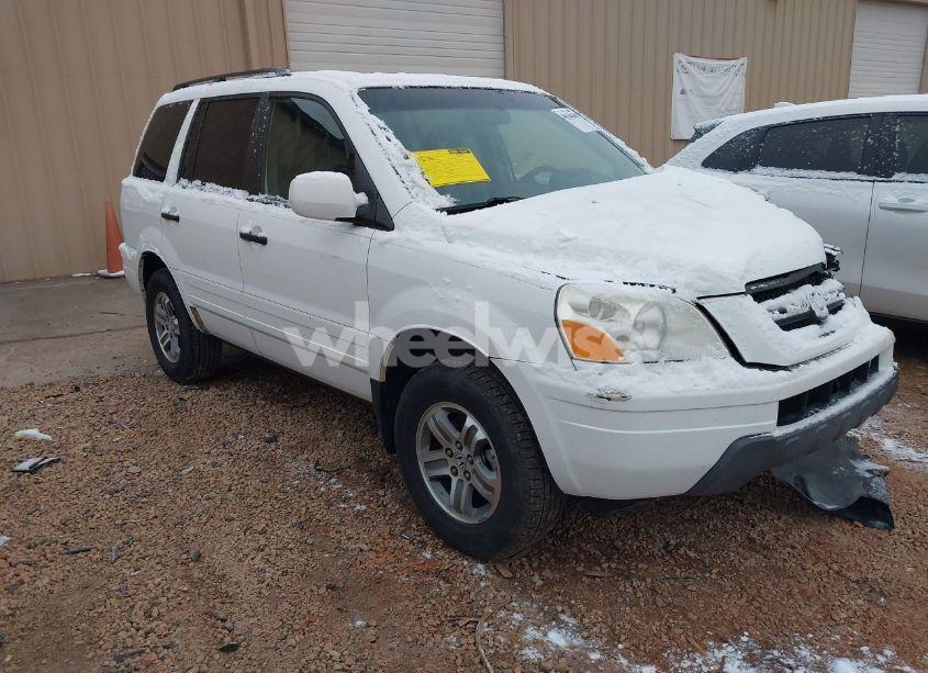 2005 Honda Pilot EX-L (VIN 2HKYF18575H530838) main photo