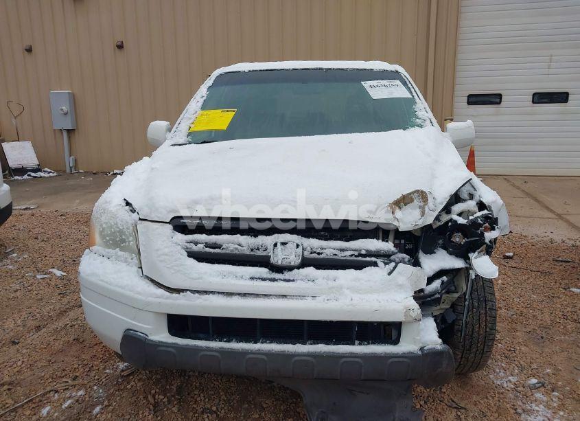 Photo 11 of 2005 Honda Pilot EX-L (VIN 2HKYF18575H530838)