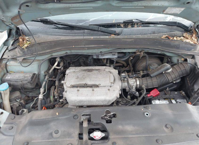 Photo 10 of 2003 Honda Pilot EX-L (VIN 2HKYF18583H617211)