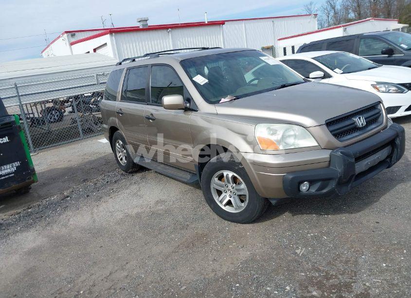 2004 Honda Pilot EX-L (VIN 2HKYF18584H521256) main photo