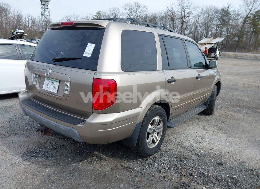 Photo 4 of 2004 Honda Pilot EX-L (VIN 2HKYF18584H521256)