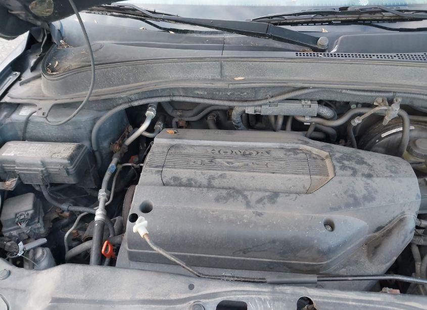 Photo 10 of 2004 Honda Pilot EX-L (VIN 2HKYF18584H571249)