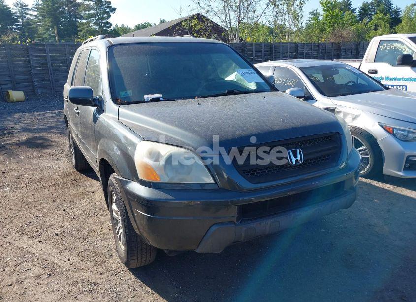 2004 Honda Pilot EX-L (VIN 2HKYF18584H601219) main photo
