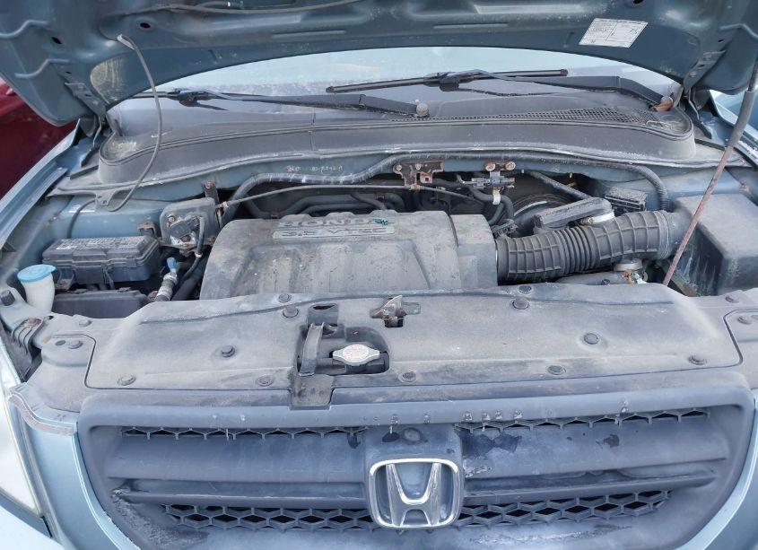 Photo 10 of 2005 Honda Pilot EX-L (VIN 2HKYF18585H504247)