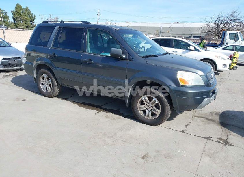 2005 Honda Pilot EX-L (VIN 2HKYF18585H537345) main photo