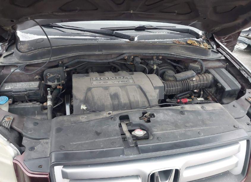 Photo 10 of 2007 Honda Pilot EX-L (VIN 2HKYF18587H521214)