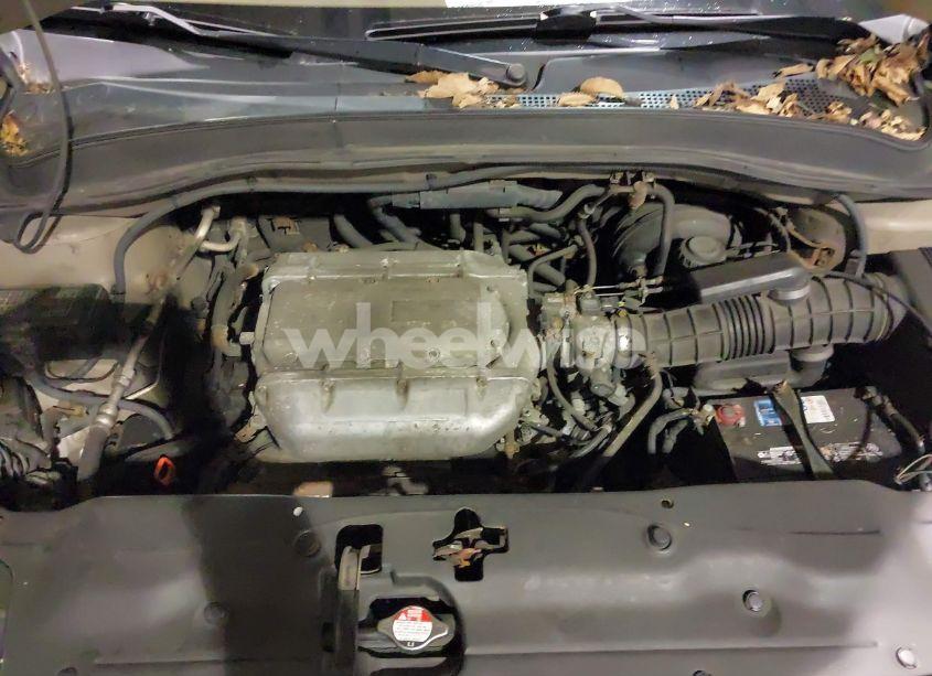 Photo 10 of 2003 Honda Pilot EX-L (VIN 2HKYF18593H545001)