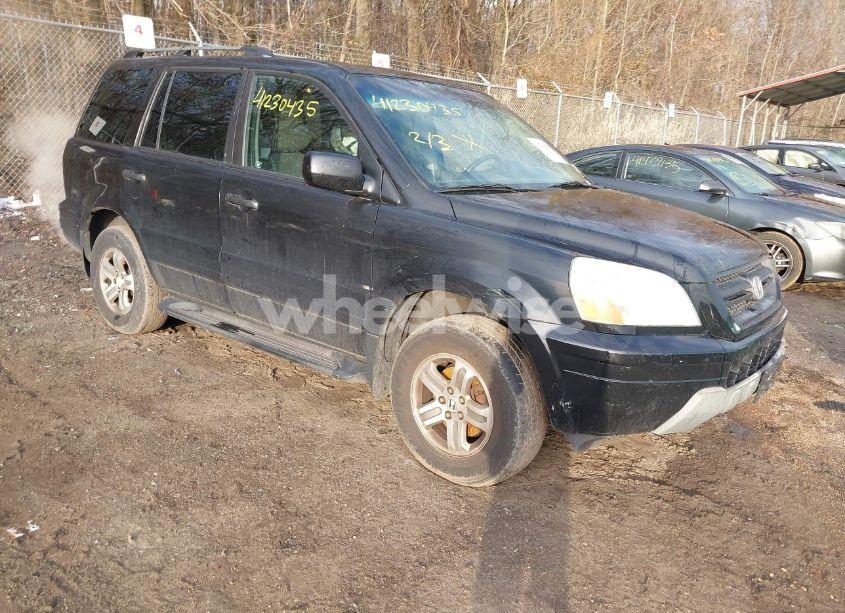 2003 Honda Pilot EX-L (VIN 2HKYF18593H559710) main photo