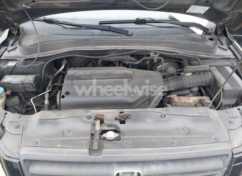 Photo 10 of 2004 Honda Pilot EX-L (VIN 2HKYF18594H566075)