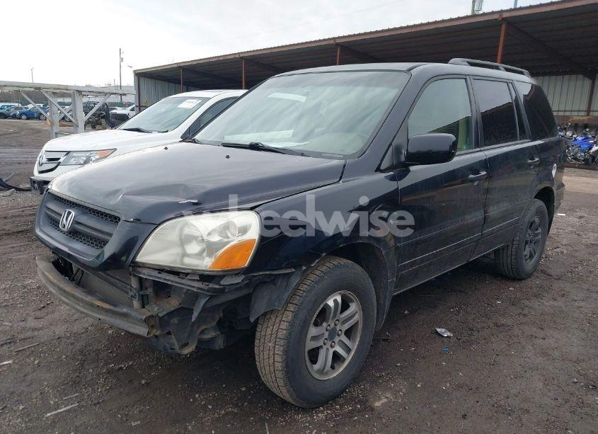 Photo 2 of 2004 Honda Pilot EX-L (VIN 2HKYF18594H566075)