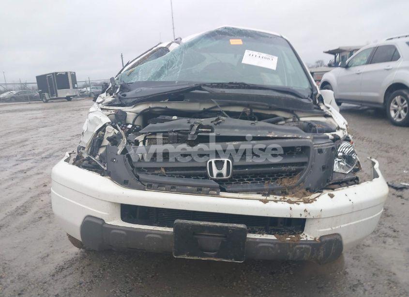 Photo 12 of 2004 Honda Pilot EX-L (VIN 2HKYF18594H595477)