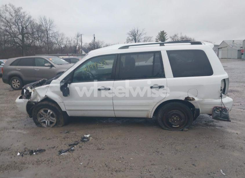 Photo 14 of 2004 Honda Pilot EX-L (VIN 2HKYF18594H595477)