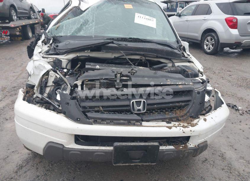 Photo 6 of 2004 Honda Pilot EX-L (VIN 2HKYF18594H595477)