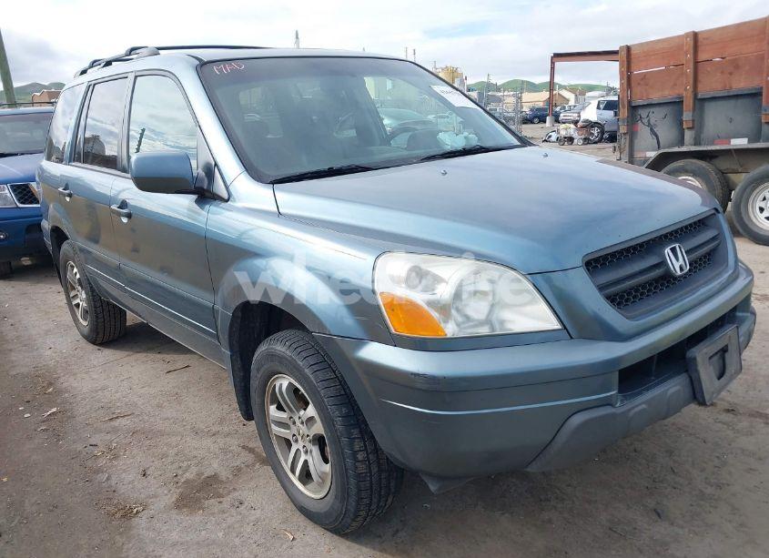 2005 Honda Pilot EX-L (VIN 2HKYF18595H541338) main photo