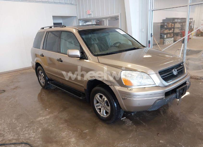 2005 Honda Pilot EX-L (VIN 2HKYF18595H542103) main photo