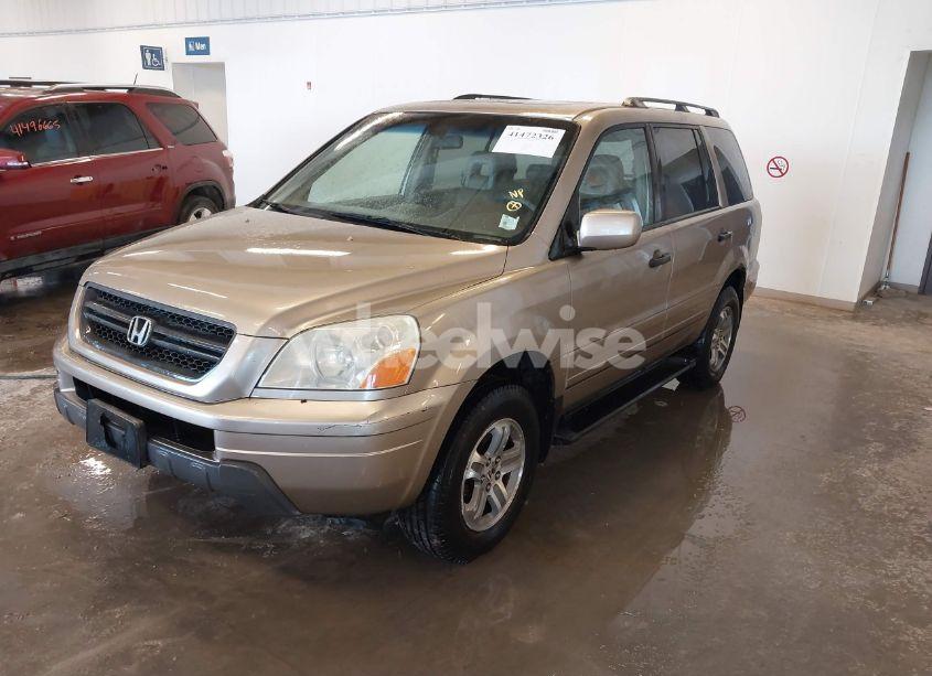 Photo 2 of 2005 Honda Pilot EX-L (VIN 2HKYF18595H542103)