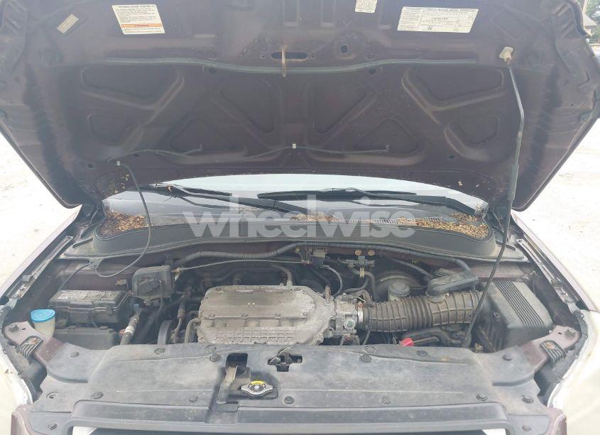 Photo 10 of 2007 Honda Pilot EX-L (VIN 2HKYF18597H513543)