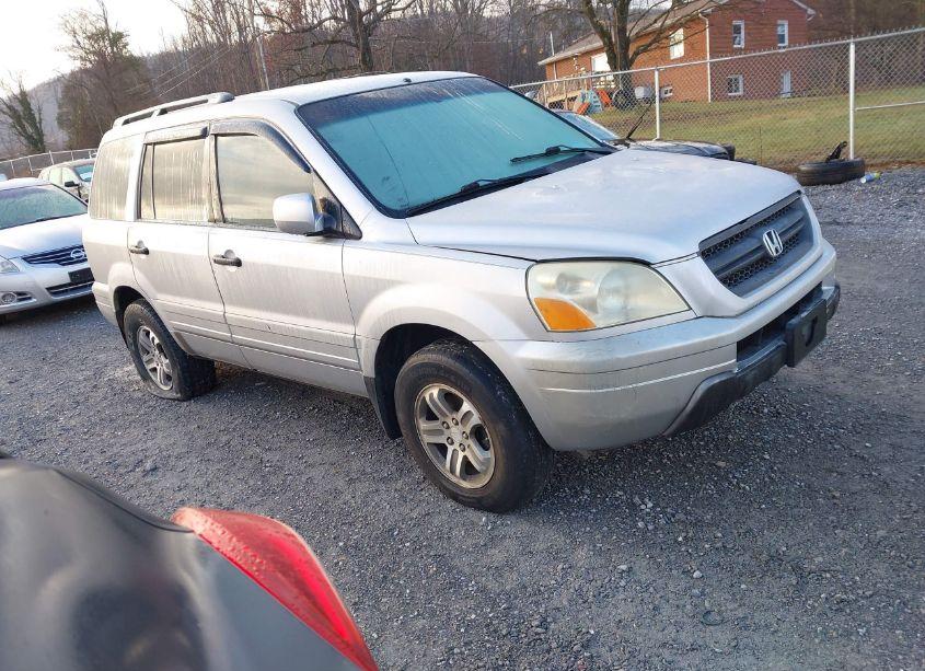 2003 Honda Pilot EX-L (VIN 2HKYF185X3H513593) main photo