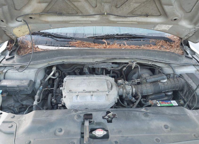 Photo 10 of 2004 Honda Pilot EX-L (VIN 2HKYF185X4H514258)