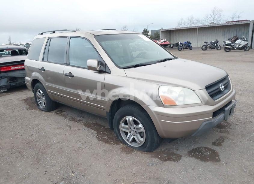 2005 Honda Pilot EX-L (VIN 2HKYF185X5H514715) main photo