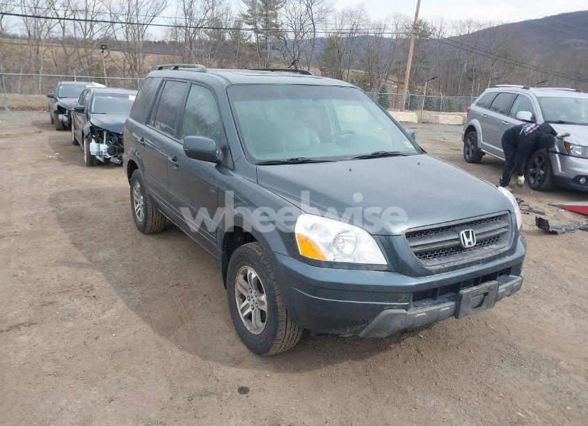2005 Honda Pilot EX-L (VIN 2HKYF185X5H525231) main photo