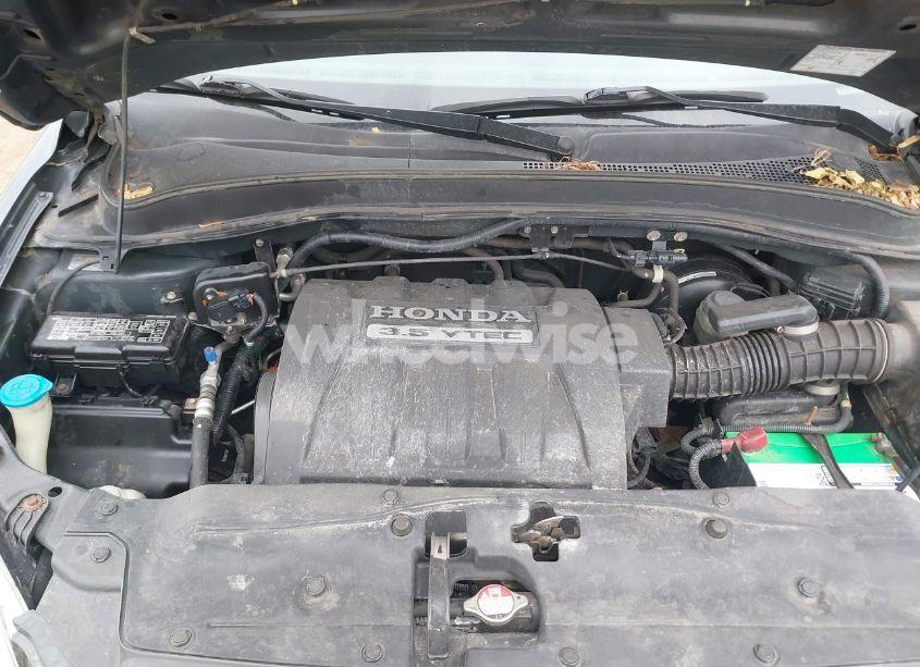 Photo 10 of 2005 Honda Pilot EX-L (VIN 2HKYF185X5H525231)