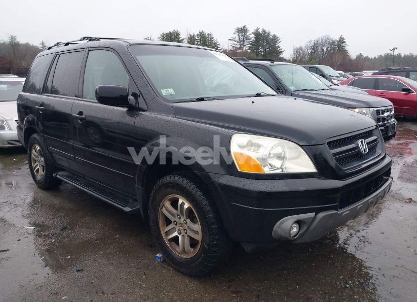 2005 Honda Pilot EX-L (VIN 2HKYF185X5H541302) main photo