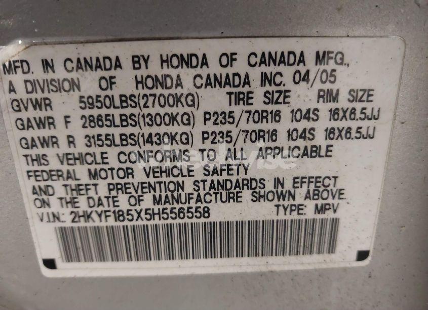 Photo 9 of 2005 Honda Pilot EX-L (VIN 2HKYF185X5H556558)