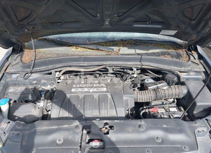 Photo 10 of 2005 Honda Pilot EX-L (VIN 2HKYF185X5H573585)