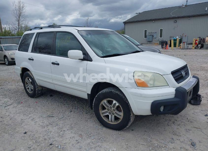 2004 Honda Pilot EX-L (VIN 2HKYF18604H559427) main photo