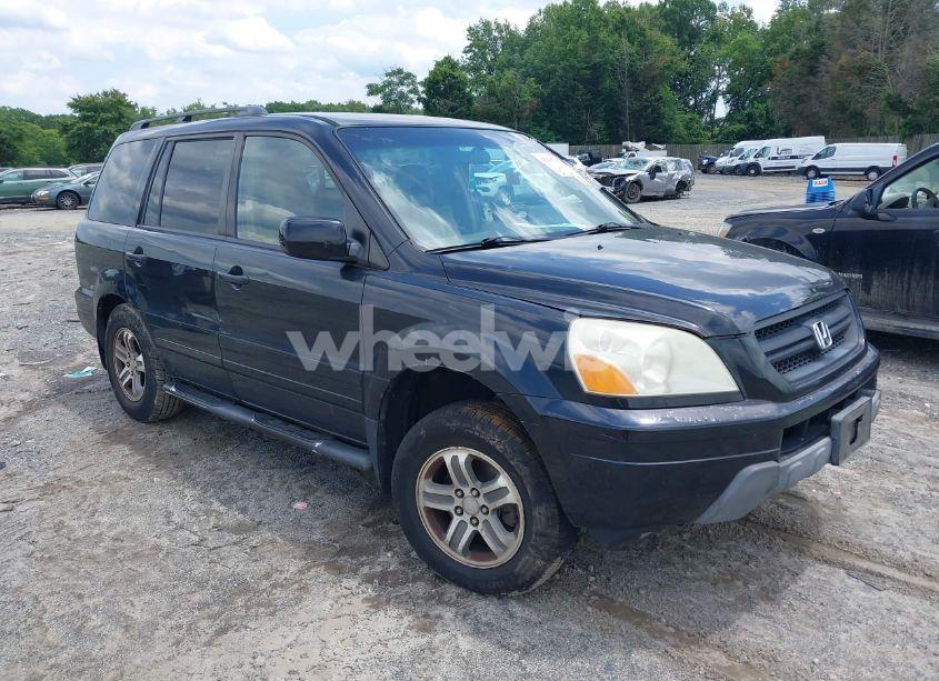 2004 Honda Pilot EX-L (VIN 2HKYF18604H560464) main photo