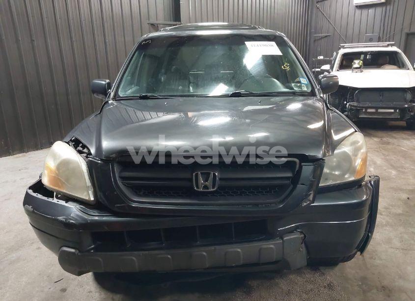 Photo 12 of 2005 Honda Pilot EX-L (VIN 2HKYF18605H536084)