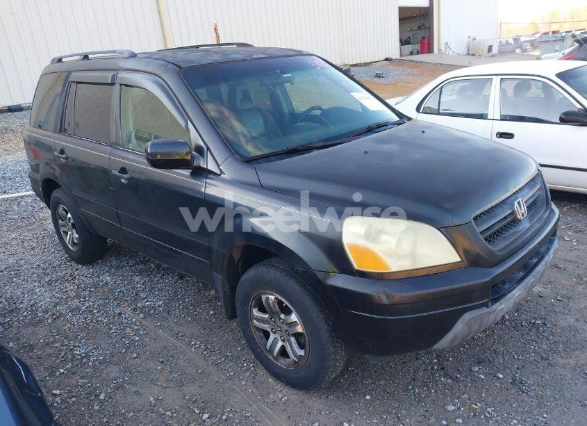 2003 Honda Pilot EX-L (VIN 2HKYF18613H557863) main photo