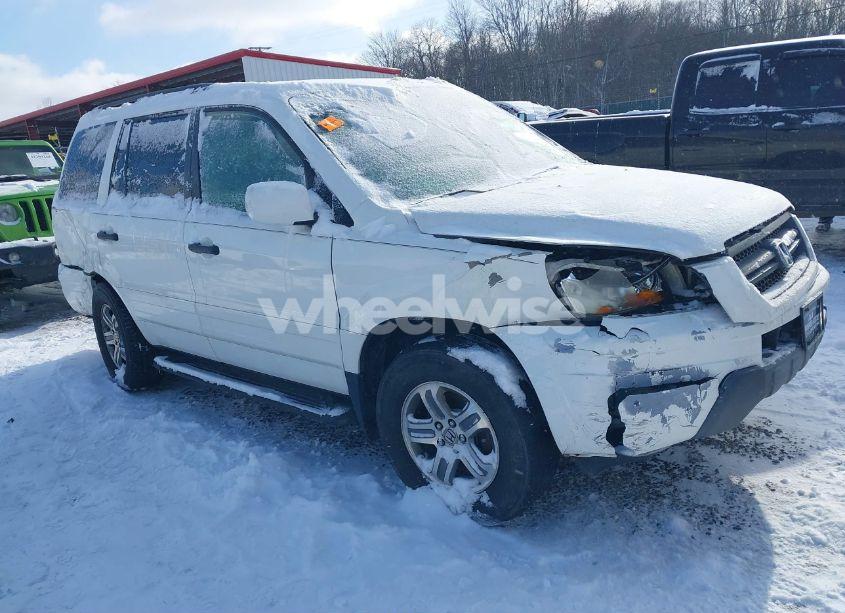2004 Honda Pilot EX-L (VIN 2HKYF18614H545911) main photo