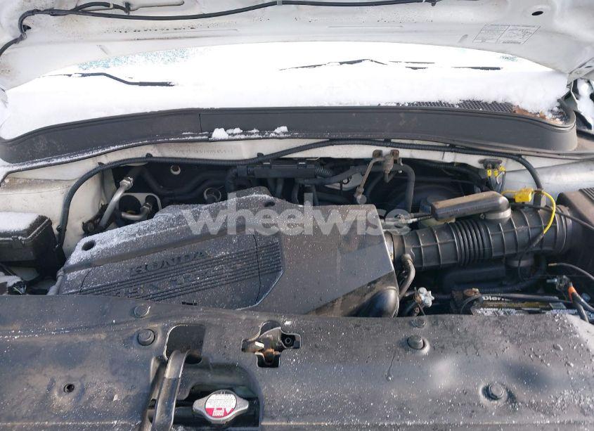 Photo 10 of 2004 Honda Pilot EX-L (VIN 2HKYF18614H545911)