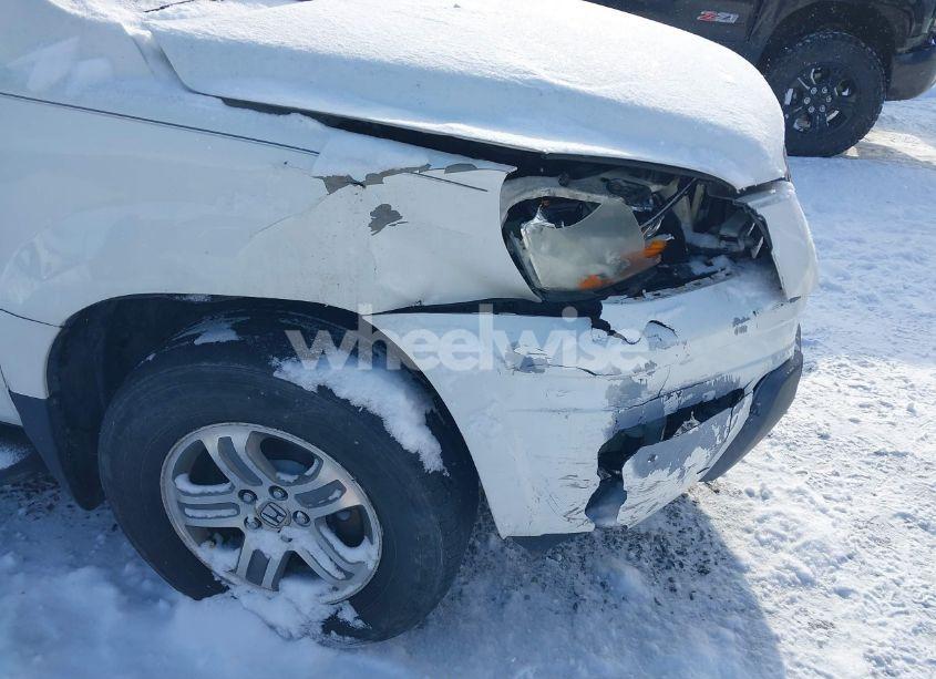 Photo 12 of 2004 Honda Pilot EX-L (VIN 2HKYF18614H545911)