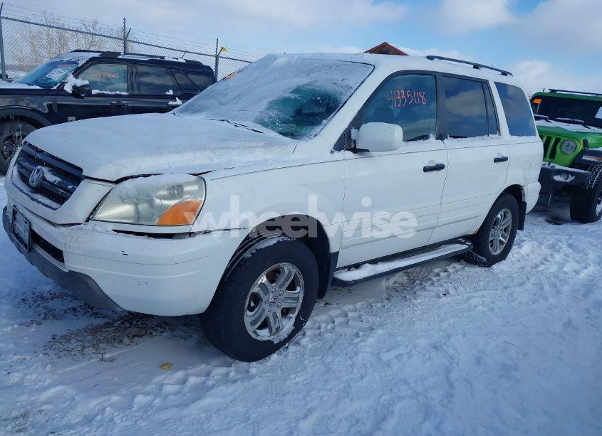Photo 2 of 2004 Honda Pilot EX-L (VIN 2HKYF18614H545911)