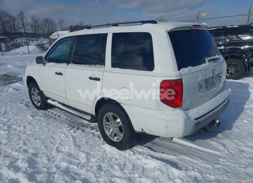 Photo 3 of 2004 Honda Pilot EX-L (VIN 2HKYF18614H545911)