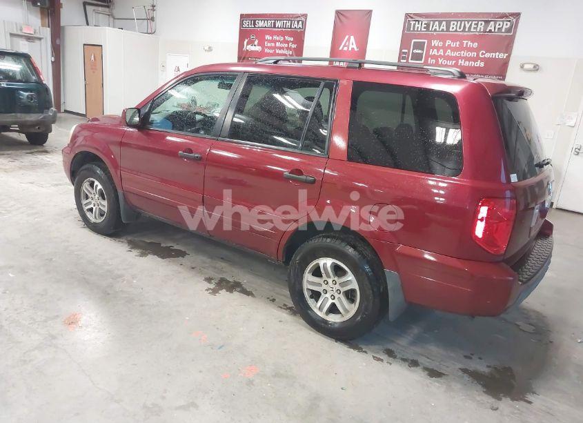 Photo 3 of 2004 Honda Pilot EX-L (VIN 2HKYF18614H575670)